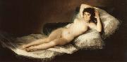 Francisco Goya The Naked Maja Sweden oil painting artist